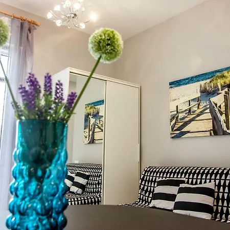 Rodzinne Plater74 4*