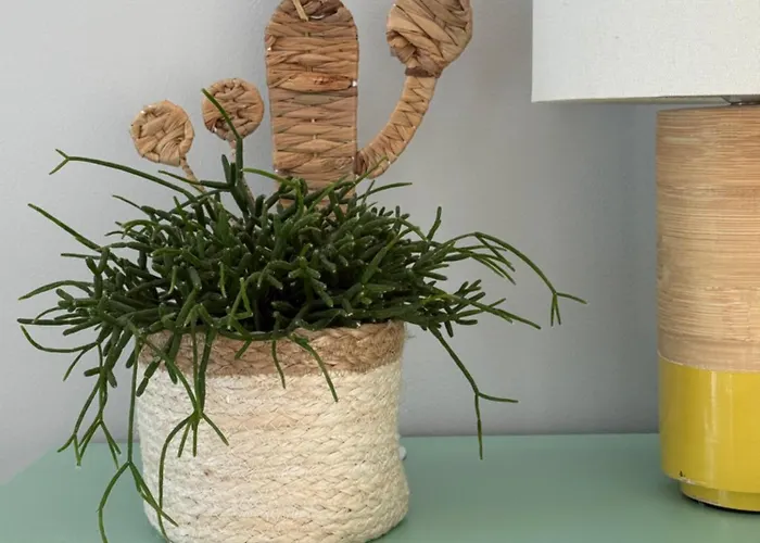 アパートホテル Rodzinne Plater74 4*